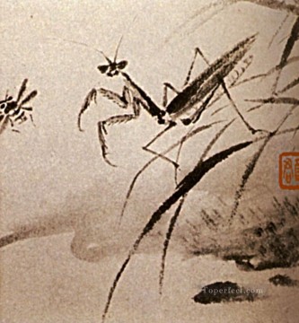  1707 Oil Painting - Shitao studies of insects mante 1707 traditional Chinese